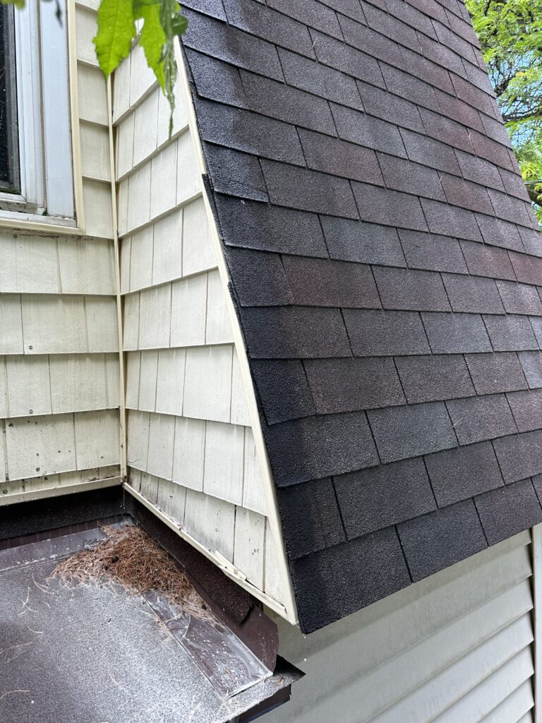 After Image House Washing